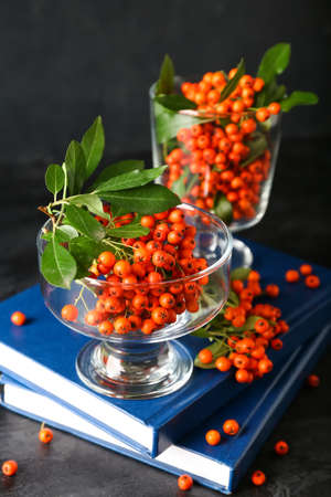 Composition with ripe rowan berries and books on dark background, closeup