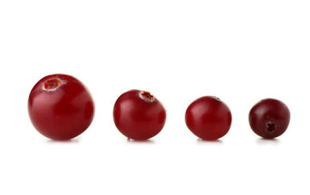 Ripe cranberries on white backgroundの写真素材