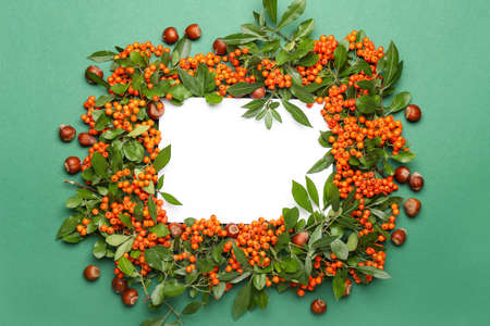 Composition with blank sheet of paper, rowan berries and hazelnuts on green background