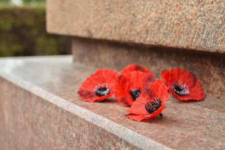 Poppy flowers on stone monument. Remembrance Day