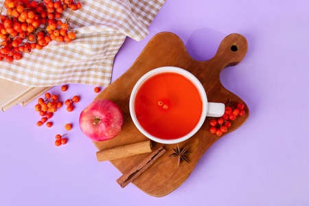 Cup of hot rowan tea, apple and cinnamon on lilac backgroundの写真素材