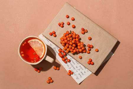 Cup of tasty rowan tea, berries and book on color backgroundの写真素材