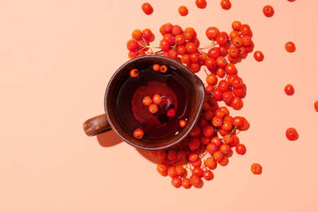 Cup of tasty rowan tea and berries on color backgroundの写真素材