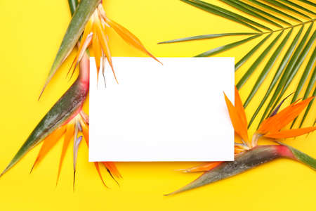 Blank card, palm leaf and beautiful strelitzia flowers on yellow backgroundの写真素材