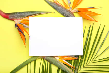 Blank card and beautiful bird of paradise flowers on yellow background