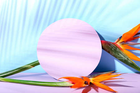 Composition with blank card and strelitzia flowers on color background