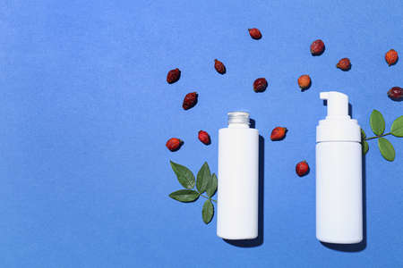 Bottles of cosmetic products and dried rose hip berries on blue backgroundの写真素材
