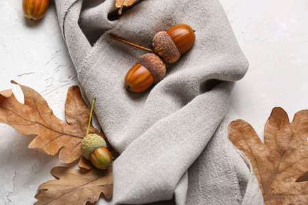 Oak acorns, dry leaves and fabric on light background, closeupの写真素材