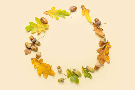 Frame made of oak leaves and acorns on color backgroundの写真素材