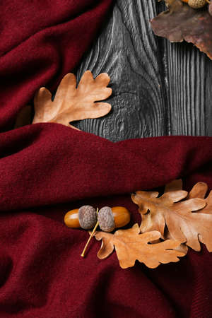 Dry oak tree leaves, acorns and sweater on dark wooden backgroundの写真素材