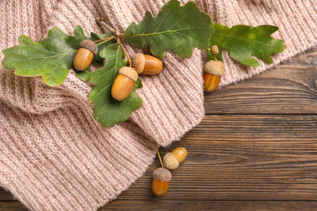 Oak tree leaves, acorns and knitted sweater on wooden backgroundの写真素材