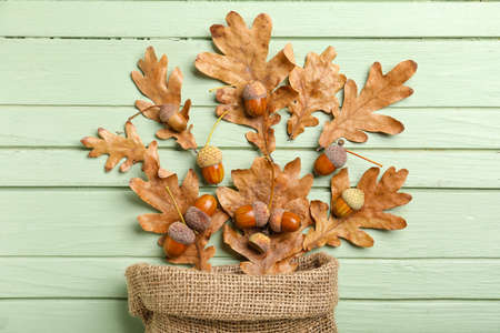 Sack with dry oak tree leaves and acorns on wooden color background
