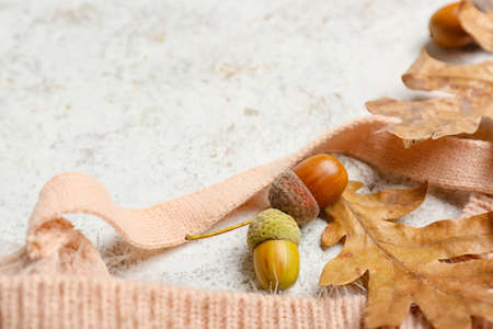 leaves Dry, oak acorns and knitted sweater on light background, closeupの写真素材