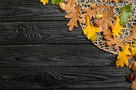 Dry oak tree leaves, acorns and chestnut on dark wooden backgroundの写真素材