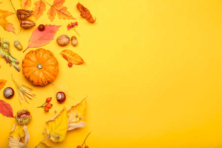 Beautiful autumn composition with ripe pumpkin and fallen leaves on color background, closeupの写真素材