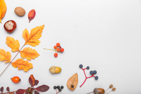 Autumn composition with natural forest decor on white background, closeup