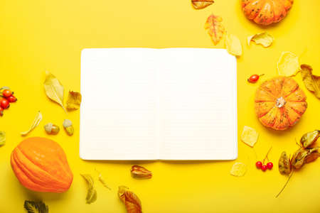 Opened notebook and autumn forest decor on color backgroundの写真素材