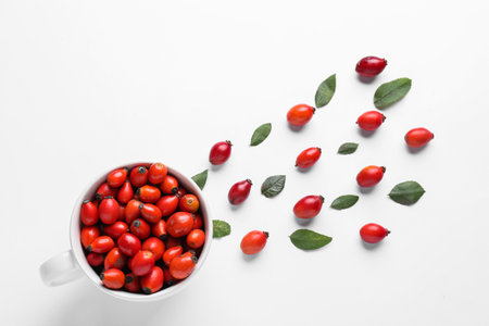 Composition with fresh rose hip berries on white backgroundの写真素材