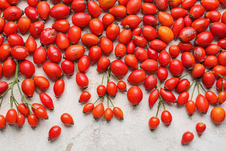 Fresh rose hip berries on light background