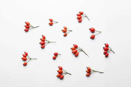 Composition with fresh rose hip berries on white background