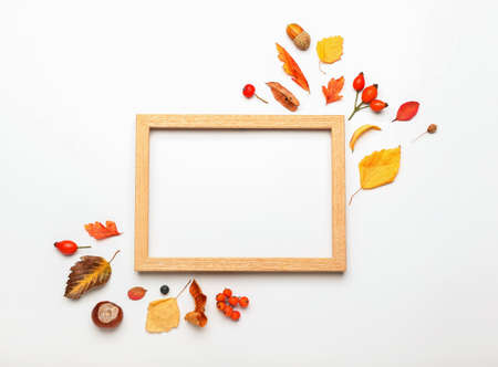 Wooden frame and autumn forest decor on white background