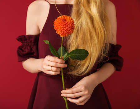 Woman holding beautiful dahlia flower on color background, closeup