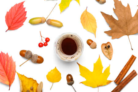 Composition with cup of coffee and autumn leaves on white backgroundの写真素材