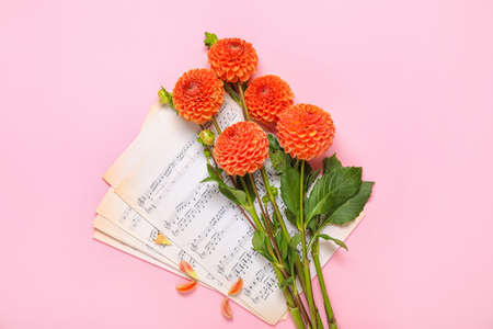Beautiful dahlia flowers and note sheets on pink backgroundの写真素材