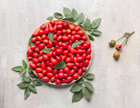 Plate with fresh rose hip berries on light backgroundの写真素材