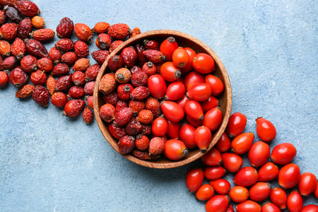 Bowl with rose hip berries on blue backgroundの写真素材