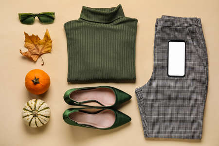 Stylish female accessories, mobile phone, pumpkins and dry leaves on color background. black friday saleの写真素材