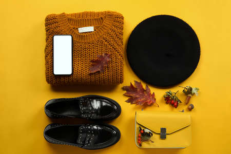 Female accessories, mobile phone and dry leaves on color background. black friday saleの写真素材