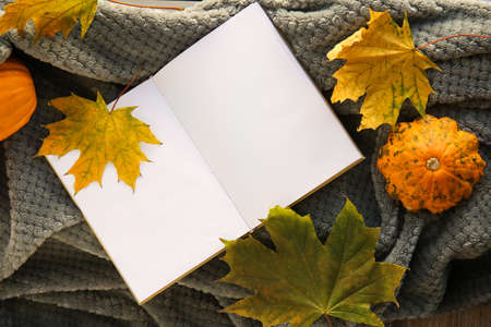 Blank book and autumn decor on plaid in the roomの写真素材