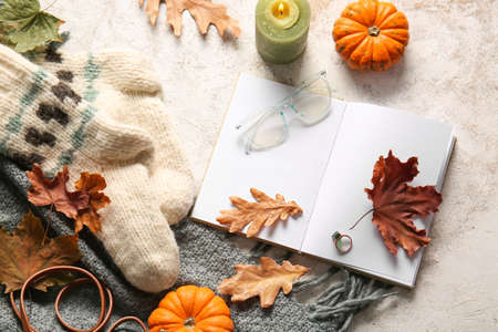 Blank book, eyeglasses and autumn decor on light backgroundの写真素材