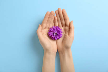 Female hands with aster flower on color background, closeup