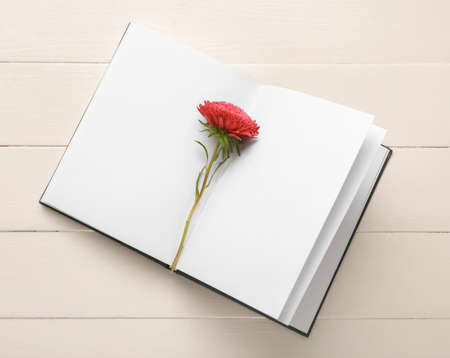 Blank open notebook with aster flower on light wooden backgroundの写真素材