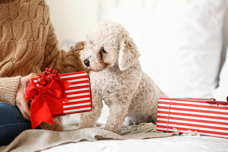 Woman with cute dog and Christmas gifts in the bedroomの写真素材