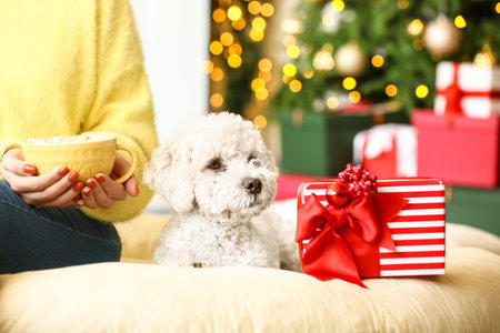 Woman with cute dog and Christmas gift drinking hot chocolate at homeの写真素材