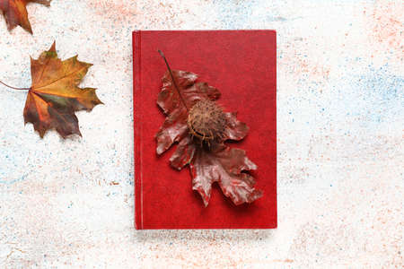 Book, autumn leaves and chestnut on light background