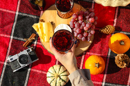 Woman with glass of wine having romantic picnic, top viewの写真素材