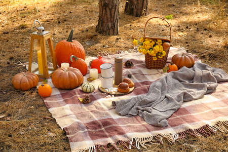 Tasty food and drink for romantic picnic in forest