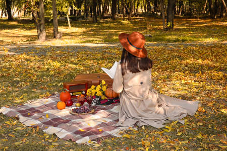 Woman having a romantic picnic in the parkの写真素材