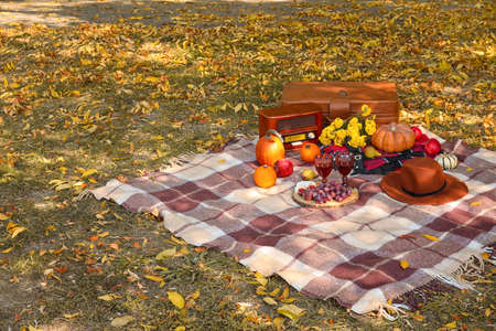 Plaid with tasty food and wine for romantic picnic in parkの写真素材