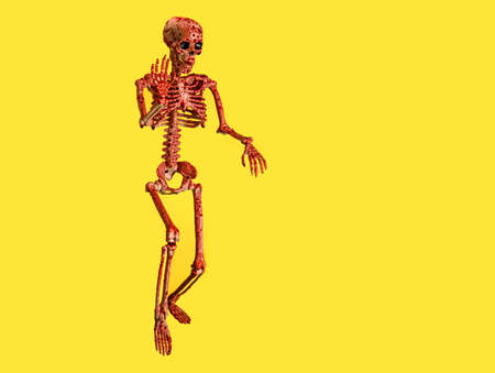 Bloodstained human skeleton on color backgroundの写真素材