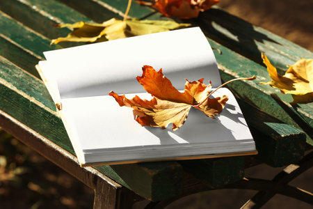 Blank book and autumn leaves on bench in parkの写真素材