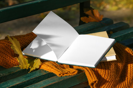 Blank book, warm sweater and autumn leaves on bench in parkの写真素材