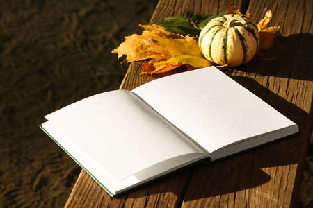 Blank book and pumpkin on bench in autumn parkの写真素材