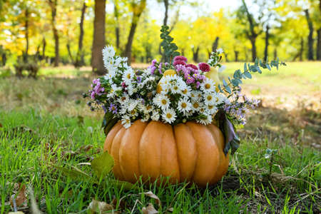Beautiful bouquet of autumn flowers in pumpkin outdoorsの写真素材