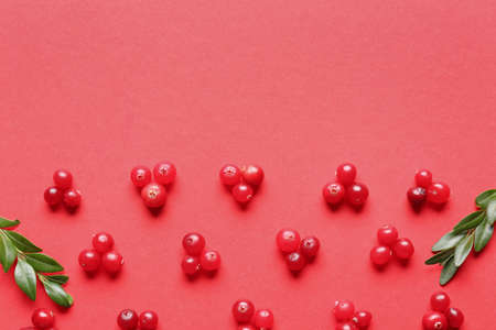 Composition with lingonberry on color background, closeupの写真素材