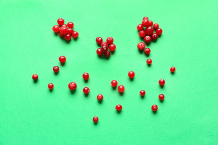 Ripe lingonberry on color backgroundの写真素材